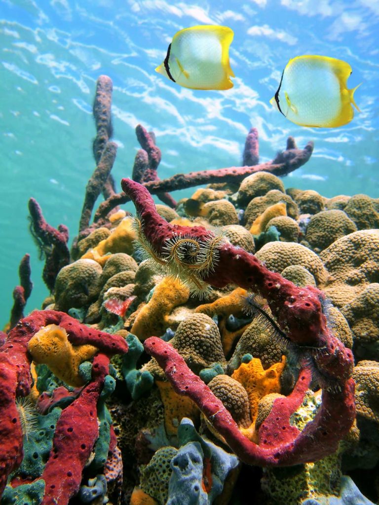 Aruba