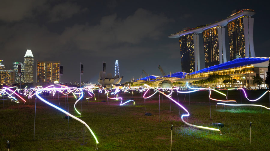squiggle i light 2019