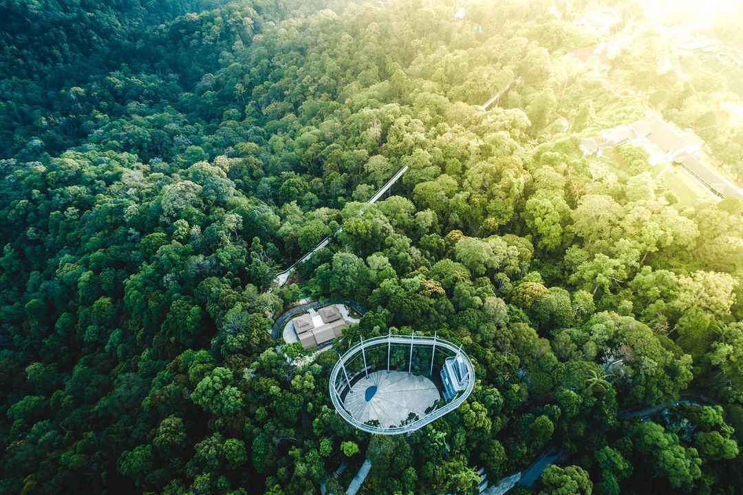 Best Rainforest Canopy Walks In Malaysia